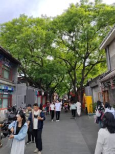 Have a walking in Hutong
