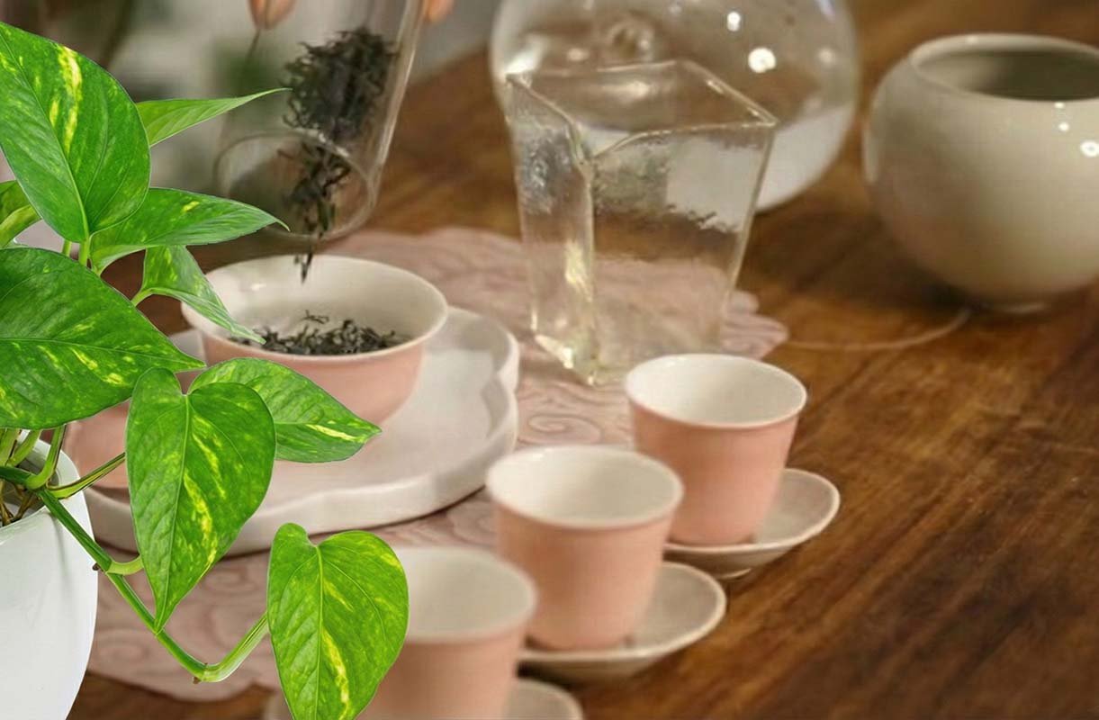 Relaxing traditional Chinese tea set amidst nature in Beijing