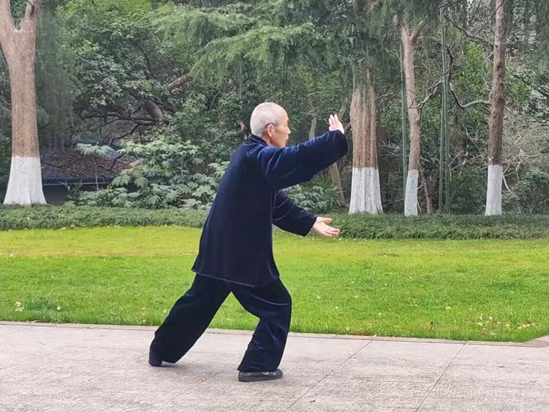 Authentic Tai Chi Class in Beijing Park